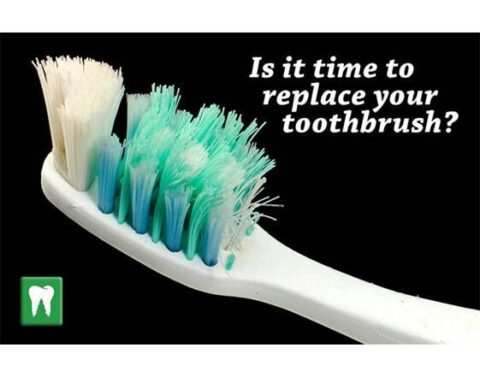 Why Replace The Toothbrush Every Months Namboo Toothbrush