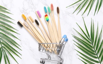 Why Should You Buy a Bamboo Toothbrush?