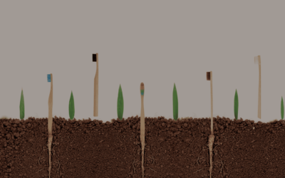 Why a Biodegradable Toothbrush is a Better Choice than Plastic Toothbrush