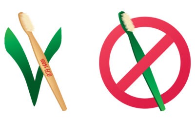 Is Bamboo Toothbrush Better Than A Plastic Toothbrush?