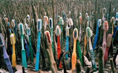 How Did Your Toothbrush Become a Part of the Plastic Crisis?