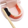 Hard Bristles Bamboo Charcoal Toothbrush for Adult Pack of 8 - Image 5
