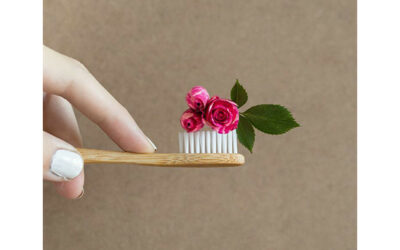Tips for choosing the best bamboo toothbrush
