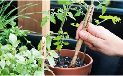 CREATIVE RECYCLING IDEAS FOR YOUR OLD BAMBOO TOOTHBRUSHES