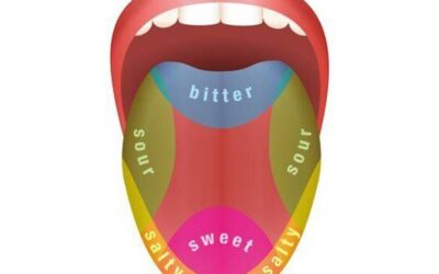 The Taste Map Explained