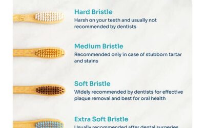 Basic Knowledge of Toothbrushing