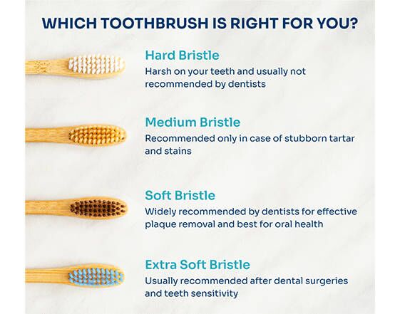 Basic Knowledge of Toothbrushing