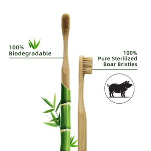 Natural Boar Hair Bamboo Toothbrush ( 6 pcs)