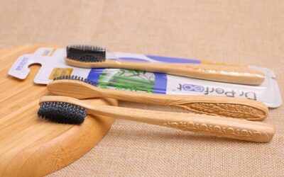 Is It Worth Buying  the Bamboo Toothbrush In 2024?