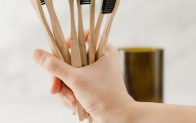 The Eco-friendly revolution of biodegradable bamboo Toothbrush