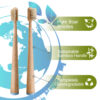 Bamboo Toothbrush with Tapered Handle & Boar Bristles ( 6 pcs)