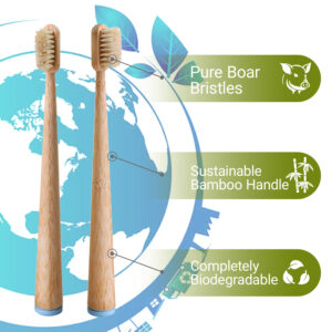 Bamboo Toothbrush with Tapered Handle & Boar Bristles ( 6 pcs)